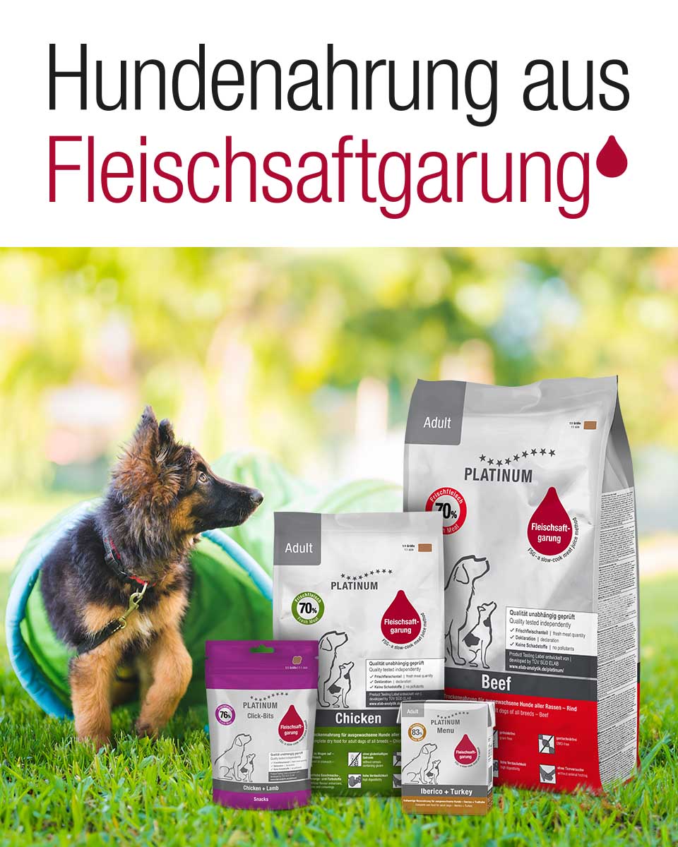Platinum Hundenahrung aus Fleischsaftgarung
